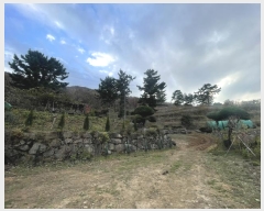  2024Ÿ7587 泲 ؽ û 800-26       (1)