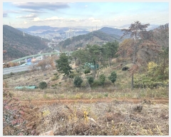  2024Ÿ7587 泲 ؽ û 800-26       (1)