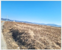  2024Ÿ��7686  ����