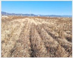  2024Ÿ��7686  ����