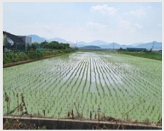  2024Ÿ��107142 �泲 â���� ��â�� ���� ������ 792     ����(��)���