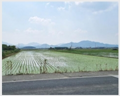  2024Ÿ��107142 �泲 â���� ��â�� ���� ������ 792     ����(��)���