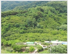  2024Ÿ107876 泲 â â ϸ  270     (Ӿ)