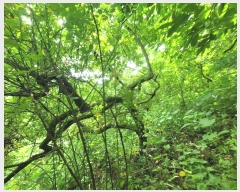  2024Ÿ107876 泲 â â ϸ  270     (Ӿ)