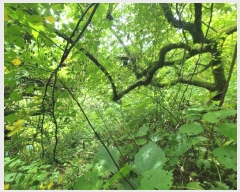  2024Ÿ107876 泲 â â ϸ  270     (Ӿ)