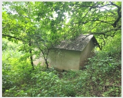  2024Ÿ107876 泲 â â ϸ  270     (Ӿ)