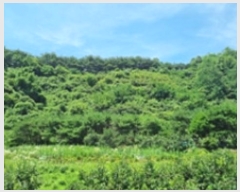  2024Ÿ107876 泲 â â ϸ  270     (Ӿ)