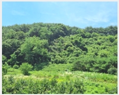  2024Ÿ107876 泲 â â ϸ  270     (Ӿ)