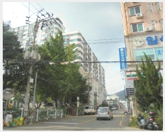  2024Ÿ111066 泲 ؽ Ȱõ267 13, 1 154ȣ (浿,Ÿ)    ,繫ǰ