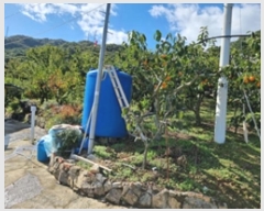  2024Ÿ113611 泲 â â ϸ 踮 1388     ()