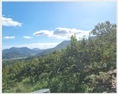  2024Ÿ113611 泲 â â ϸ 踮 1388     ()