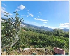  2024Ÿ113611 泲 â â ϸ 踮 1388     ()