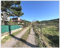  2024Ÿ113697 泲 ؽ ʸ  851      ð