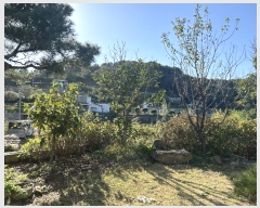  2024Ÿ113697 泲 ؽ ʸ  851      ð