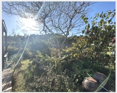  2024Ÿ113697 泲 ؽ ʸ  851      ð