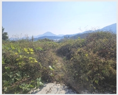  2024Ÿ114881 泲 â â  긮 334     (Ӿ)