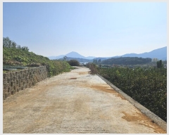  2024Ÿ114881 泲 â â  긮 334     (Ӿ)