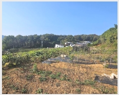  2024Ÿ114881 泲 â â  긮 334     (Ӿ)