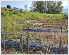  2024Ÿ114881 泲 â â  긮 334     (Ӿ)