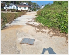  2024Ÿ114881 泲 â â  긮 334     (Ӿ)