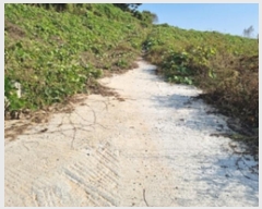  2024Ÿ114881 泲 â â  긮 334     (Ӿ)