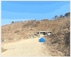  2024Ÿ115983 泲 ؽ Ѹ ݰ 878      ,â