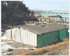  2024Ÿ115983 泲 ؽ Ѹ ݰ 878      ,â