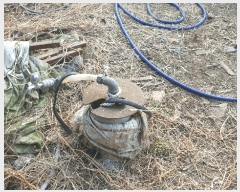  2024Ÿ115983 泲 ؽ Ѹ ݰ 878      ,â