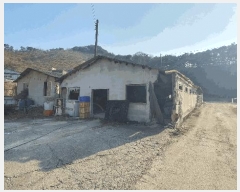  2024Ÿ115983 泲 ؽ Ѹ ݰ 878      ,â