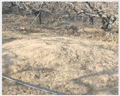  2024Ÿ115983 泲 ؽ Ѹ ݰ 878      ,â