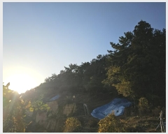  2024Ÿ116054 泲 â ر ε 27      (Ӿ)