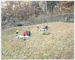  2024Ÿ116054 泲 â ر ε 27      (Ӿ)