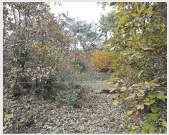  2024Ÿ116054 泲 â ر ε 27      (Ӿ)