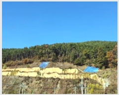  2024Ÿ116054 泲 â ر ε 27      (Ӿ)