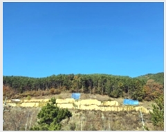  2024Ÿ116054 泲 â ر ε 27      (Ӿ)