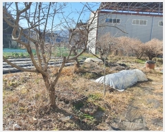  2024Ÿ116504 泲 ؽ  ϰ踮 94-1      (1)