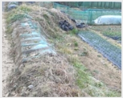  2024Ÿ116504 泲 ؽ  ϰ踮 94-1      (1)