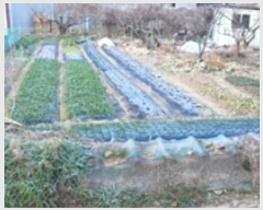  2024Ÿ116504 泲 ؽ  ϰ踮 94-1      (1)