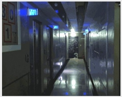  2024Ÿ116603 泲 ؽ 浿 530-7       ڽü,,ȣ,