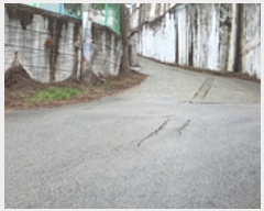  2024Ÿ��968 �泲 ���ؽ� �󵿸� ��踮 498      ������