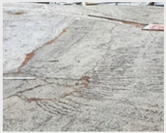  2024Ÿ��968 �泲 ���ؽ� �󵿸� ��踮 498      ������