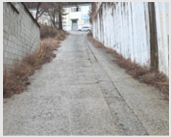  2024Ÿ��968 �泲 ���ؽ� �󵿸� ��踮 498      ������