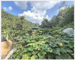  2024Ÿ112526 泲 â 걸 Ͼϵ 322      ()