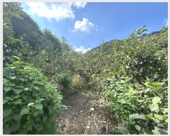  2024Ÿ112526 泲 â 걸 Ͼϵ 322      ()