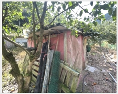  2024Ÿ112526 泲 â 걸 Ͼϵ 322      ()