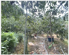  2024Ÿ112526 泲 â 걸 Ͼϵ 322      ()