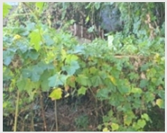  2024Ÿ��112922 �泲 ���ؽ� ���̸� ���︮ 1226-10      ���ð��