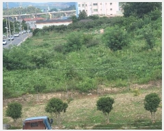  2024Ÿ��418 �泲 ���ؽ� ������ �ſ븮 624-11      ����(��)���