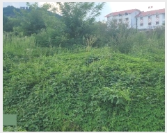  2024Ÿ��418 �泲 ���ؽ� ������ �ſ븮 624-11      ����(��)���