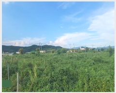  2024Ÿ��418 �泲 ���ؽ� ������ �ſ븮 624-11      ����(��)���